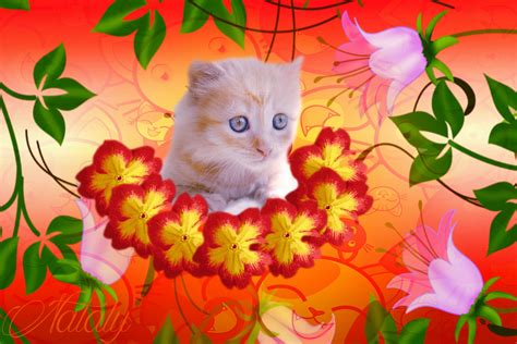 chat kitsch|Kitsch Community .